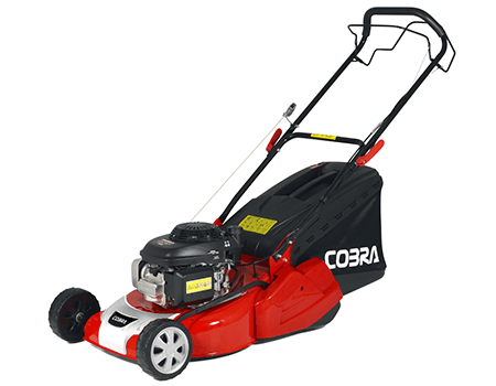 Image of Cobra 18