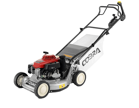 Image of Cobra 19