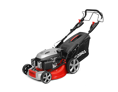 Image of Cobra 19