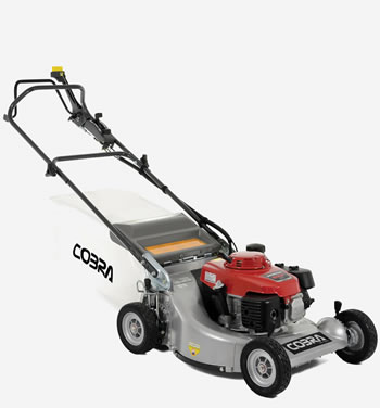 Image of Cobra 21