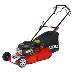 Image of Cobra 18
