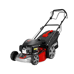 Image of Cobra 18