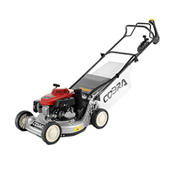 Image of Cobra 19