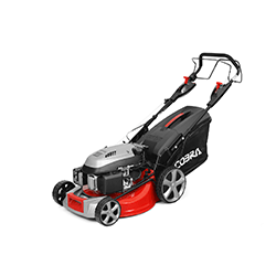 Small Image of Cobra 19