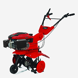 Image of Cobra  24
