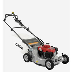 Image of Cobra 21