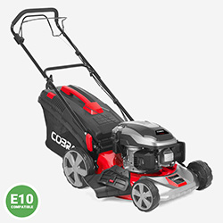 Image of Cobra 18
