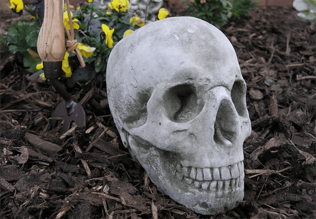 Image of Skull Stone Garden Ornament Statue - GG11