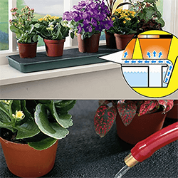 Image of Garland Self Watering Windowsill Plant Tray