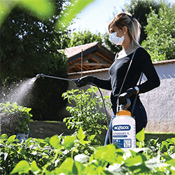 Image of Hozelock Standard 7L Pressure Sprayer