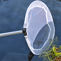 Small Image of Hozelock Telescopic Pond Skimmer Net