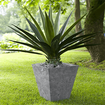 Image of Artstone Pot Ella Grey Small