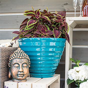 Image of Kelkay Plant Avenue Vale Pot with Built in Saucer in Teal