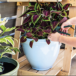 Image of Kelkay Plant Avenue Trad. Collection Classic Pot in Blue
