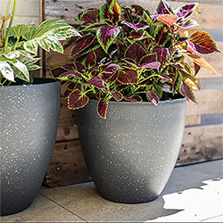 Image of Kelkay Plant Avenue Stone Collection Sm Terrazzo Egg Pot in Grey