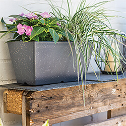 Image of Kelkay Plant Avenue Stone Collection Terrazzo Trough in Charcoal