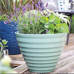 Image of Kelkay Plant Avenue Vale Pot with Built in Saucer in Sage Green