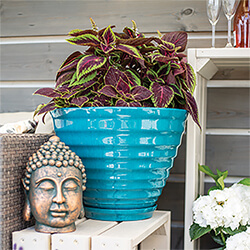 Image of Kelkay Plant Avenue Vale Pot with Built in Saucer in Teal