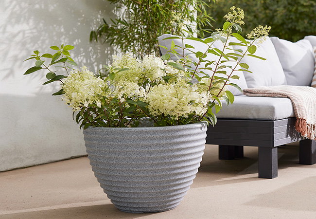 Image of Stewart 49cm Low Honey Pot Planter - Alpine Grey
