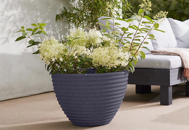 Image of Stewart 49cm Low Honey Pot Planter - Millstone Grey