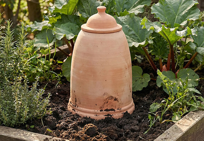 Image of 60cm Terracotta Rhubarb Forcer / Clay Cloche