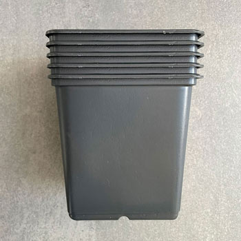 Image of 11cm Square Black Plant Pots (Pack of 5)