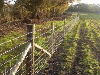 Image of 25m Roll of C8/80/15 Stock Fencing