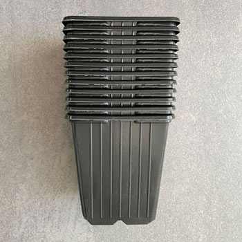Image of 9cm Square Black Plant Pots (Pack of 12)
