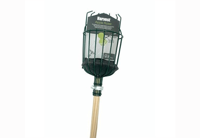 Image of Burgon & Ball Apple & Fruit Picker (GHV/FPICK)