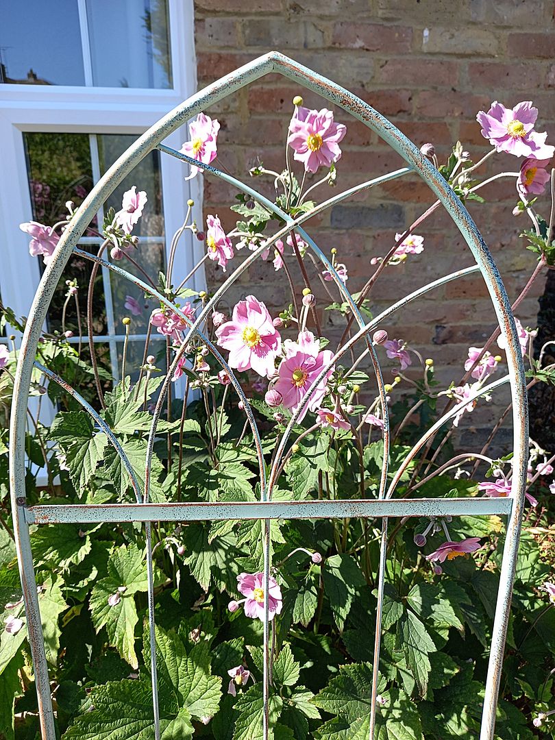 Image of Pair Of Verdigris Arched Metal Trellis Plant Support