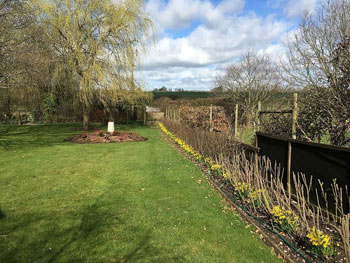Image of Best Value Native Hedging Mix
