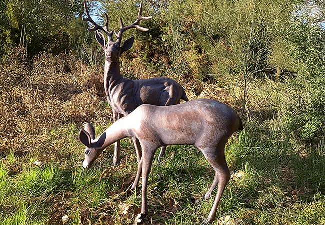 Image of Large Stag and Doe Deer Sculptures