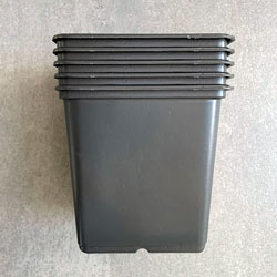 Small Image of 11cm Square Black Plant Pots (Pack of 5)