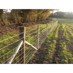 Image of 25m Roll of C8/80/15 Stock Fencing