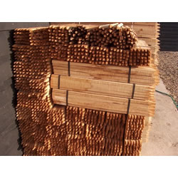 Image of 25x 90cm (3ft) Tall Treated Square Garden Stakes