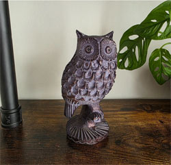 Small Image of Little Owl Garden Ornament