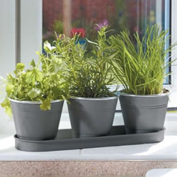 Image of Smart Garden Windowsill Herb Pots 3 Pack (6030302)