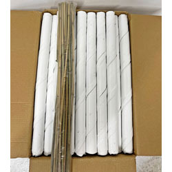 Image of White Spiral Tree Guards with Canes - 60cm x 38mm