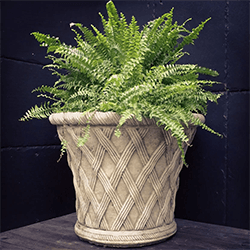 Image of Pair of Elizabethan Pot Stone