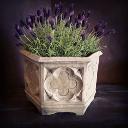 Image of Pair of Gothic Hexagonal Pot Stone