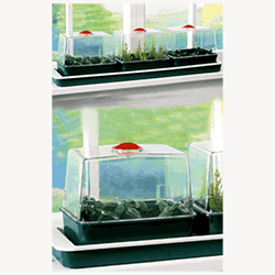 Image of Garland Triple Top Windowsill Propagator
