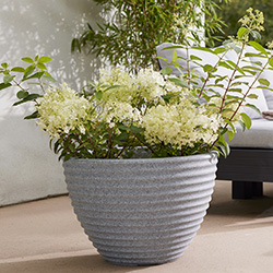 Image of Stewart 49cm Low Honey Pot Planter - Alpine Grey