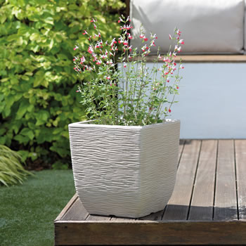 Image of Cotswold Square Planter - 38cm