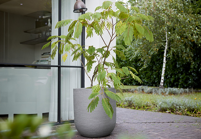 Image of Stewart Arava 56cm Garden Planter - Alpine Grey