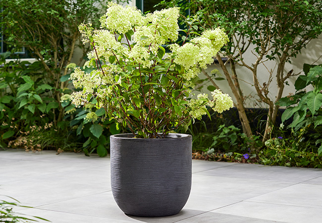 Image of Stewart Arava 44cm Garden Planter - Millstone Grey