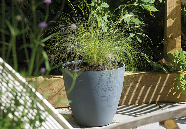 Image of Stewart 40cm Low Round Beton Planter in Dark Grey