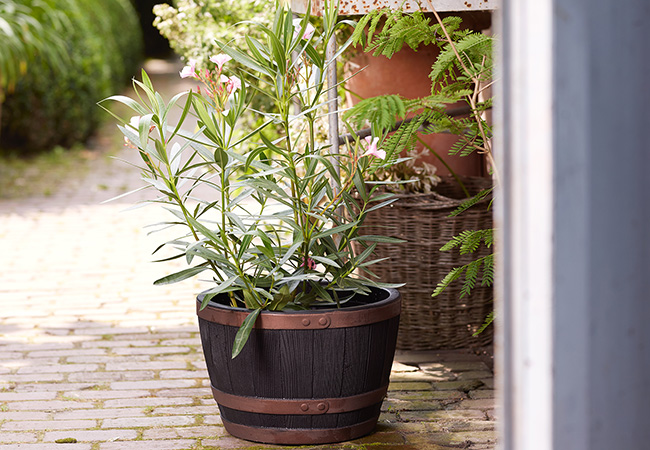 Image of Blenheim Black Oak & Copper Effect Half Barrel Planter - 61cm