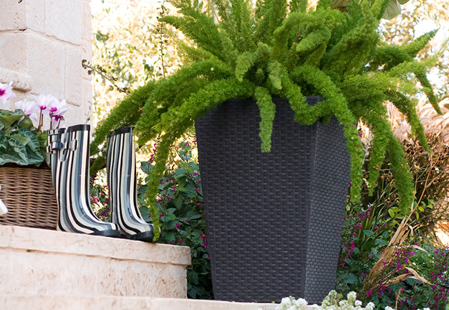 Image of Stewart Medium Rattan Planter