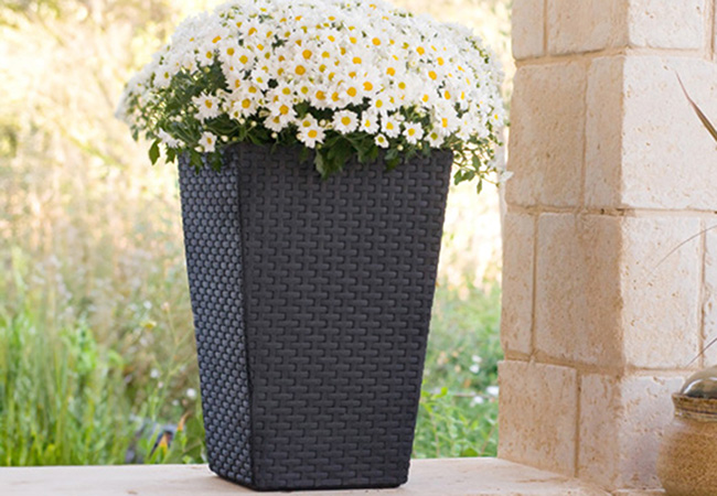 Image of Stewart Small Rattan Planter