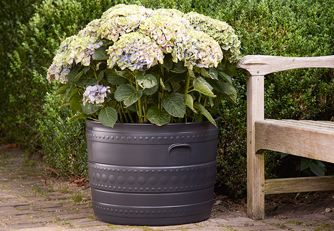 Image of Smithy Patio Tub - 50cm